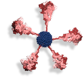 image of red virus
