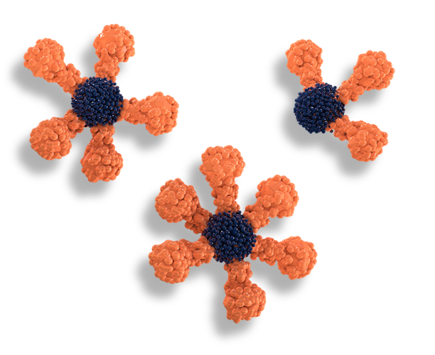 orange antigens image