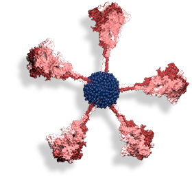 image of red virus