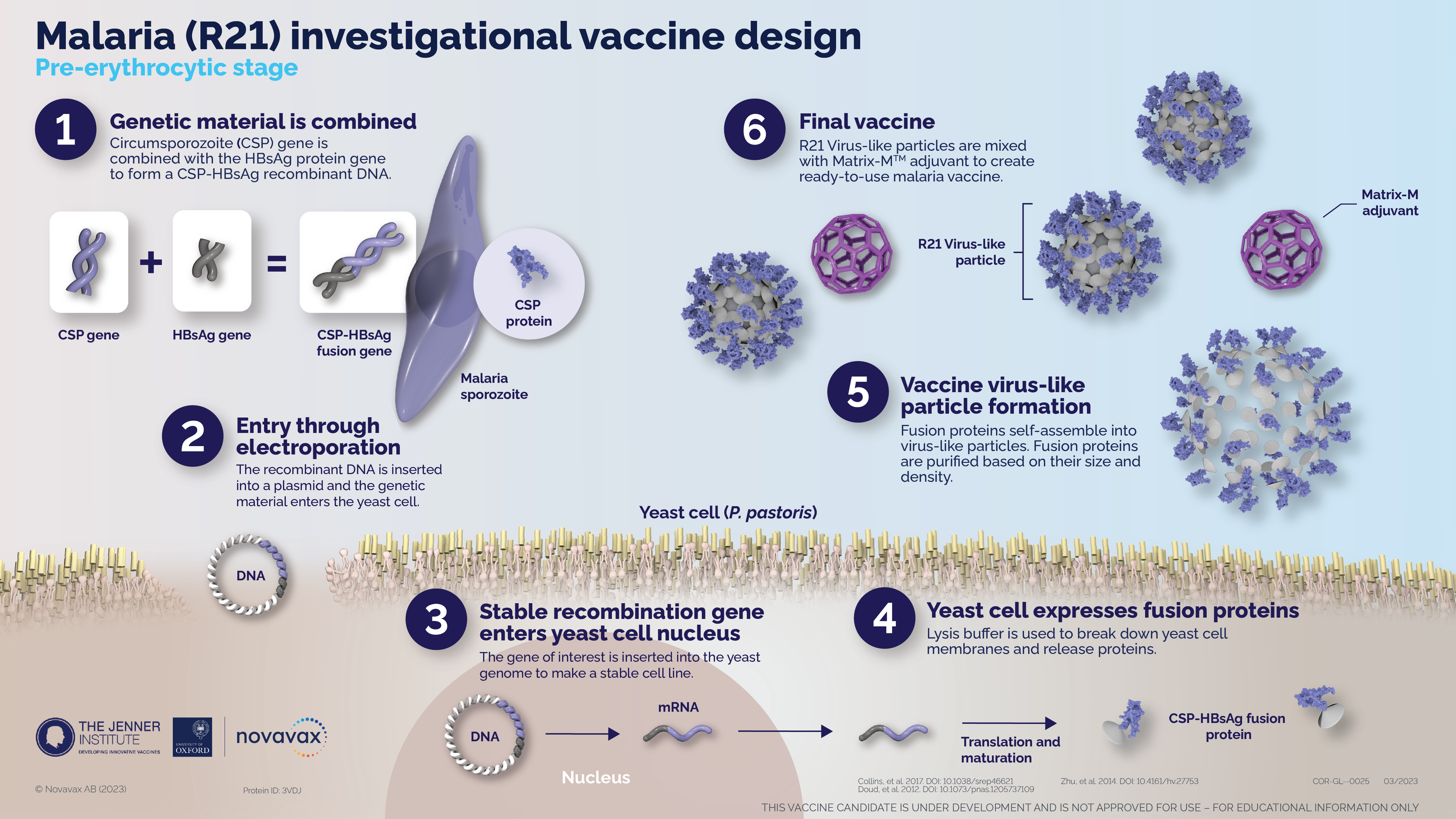 Malaria (R21) investigational vaccine design. Pre-erythrocytic stage
