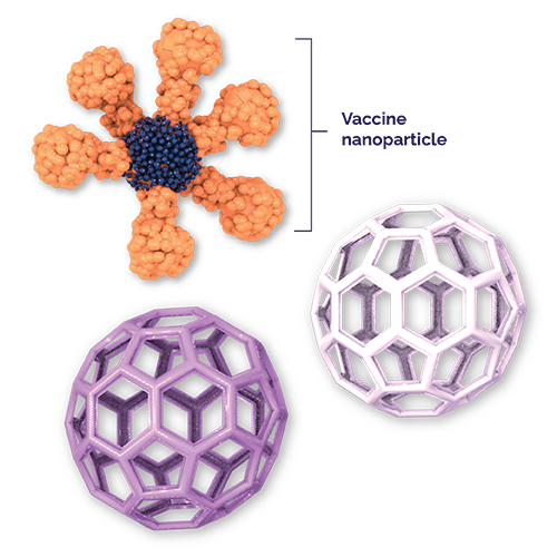 Vaccine nanoparticle 